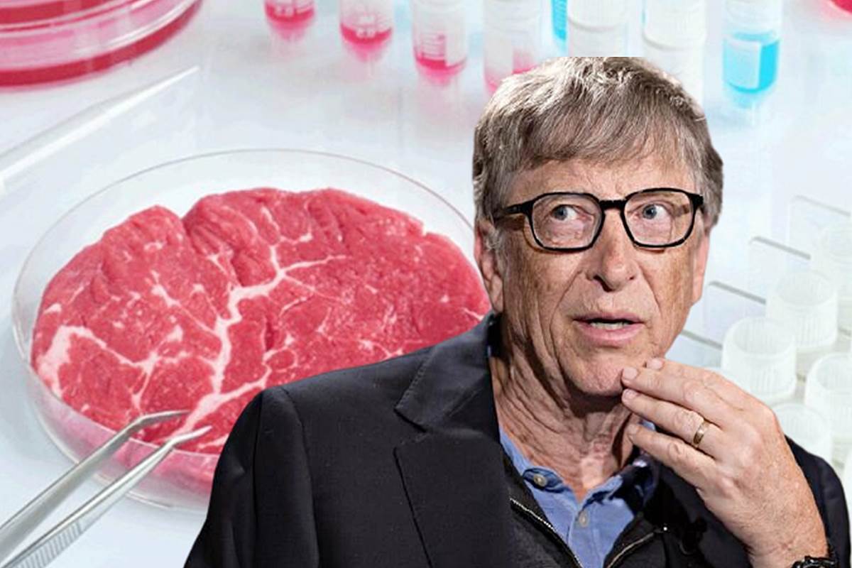 Bill Gates’in yapay et dayatması nereye varacak? Gastronomi Dergisi
