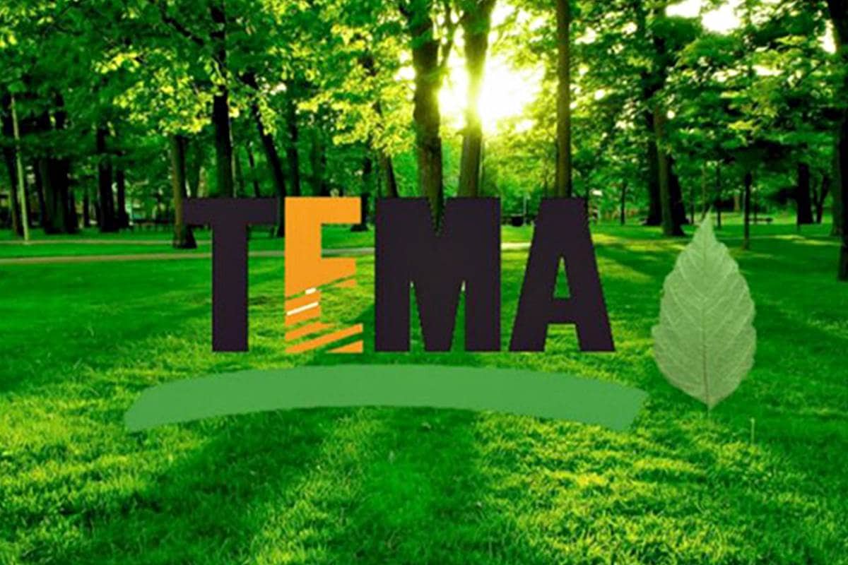 Fidan dikimi için kampanya başlatan TEMA’nın sitesi yoğunluktan çöktü!