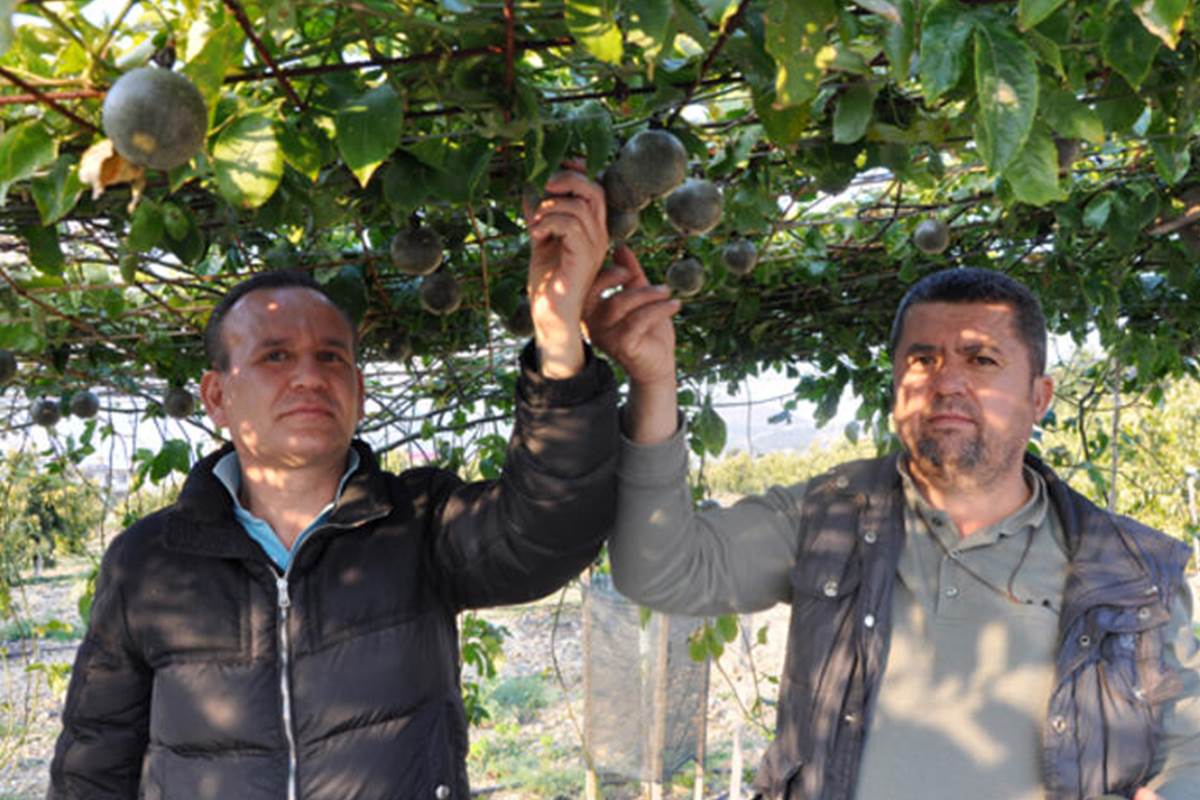 Milyonluk geliri var, ekeni zengin ediyor! 