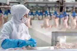 Beyaz et sektöründe kadın istihdamı Türkiye ortalamasının üzerinde 