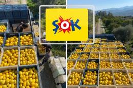 ŞOK Marketler deprem bölgesinde tarımı ve çiftçiyi destekliyor